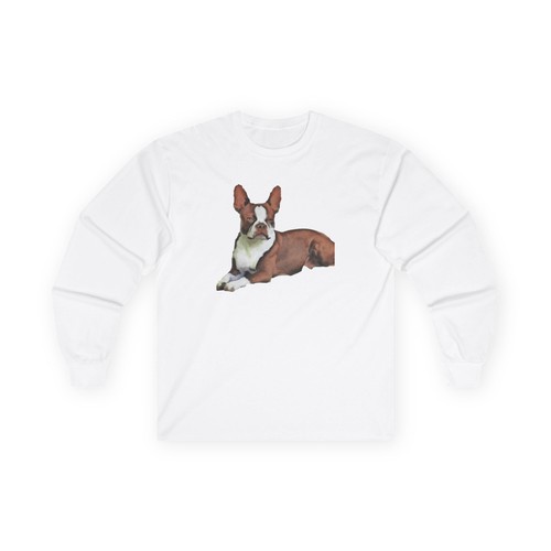 Boston terrier brown white - terrier,
