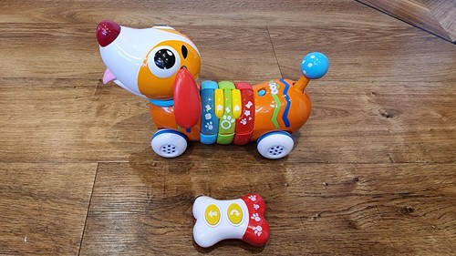 Remote control musical sausage - musical,