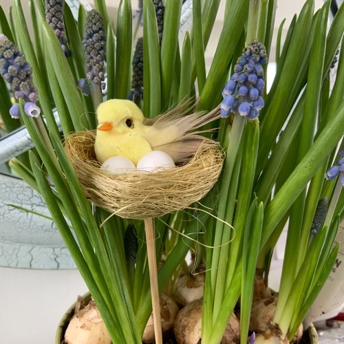 Chick straw nest on a - a,