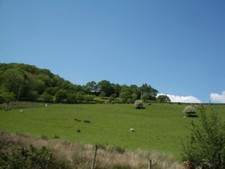 Photo 6x4 Pasture land near
