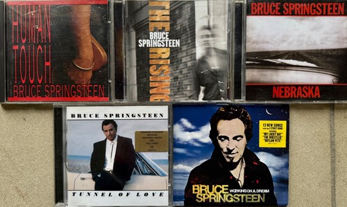 Bruce springsteen job lot - bruce,