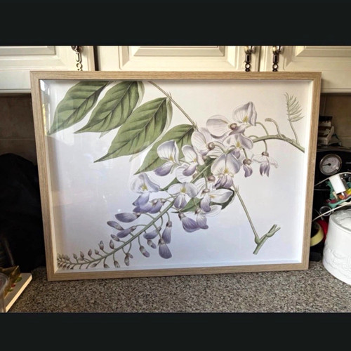 Large vintage framed - framed, print