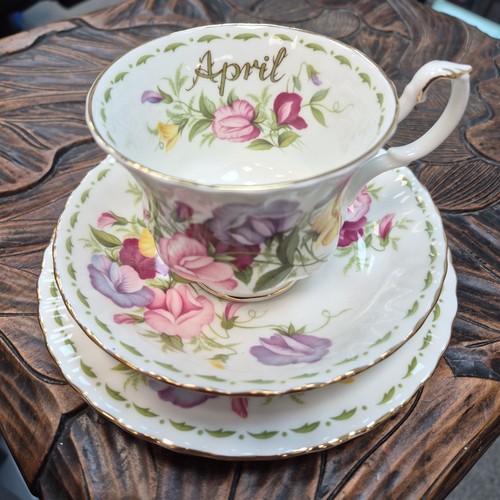 Royal albert flower the - of,