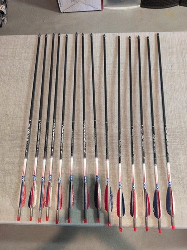 Easton flatline arrows - 14,
