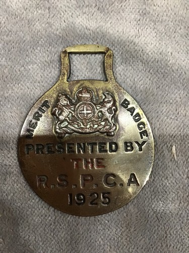 Rspca merit badge horse - rspca, badge,