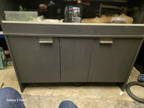 Bearded dragon vivarium - vivarium, with