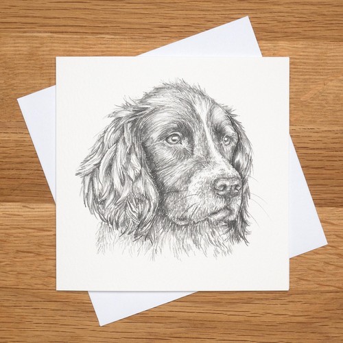 Hand drawn springer - hand,
