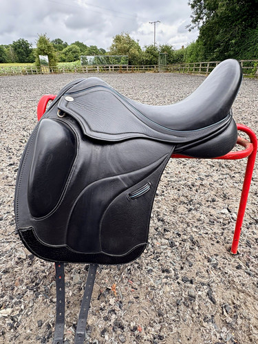 Winners circle black - winners, 17.5”