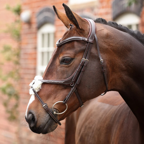 Shires velociti lusso opus - shires,