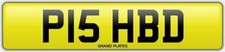 PISHED FISHED NUMBER PLATE P15