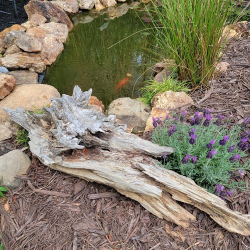 Large garden driftwood log - large,