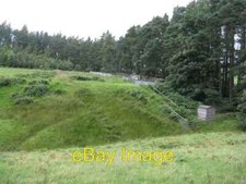 Photo 6x4 Rearing pens at