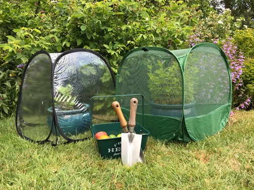 Popup cloche plant pot - popup,