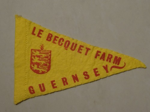 Becquet farm guernsey scout - le,
