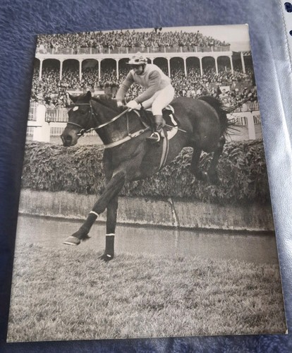 Original 1973 horse racing - original,