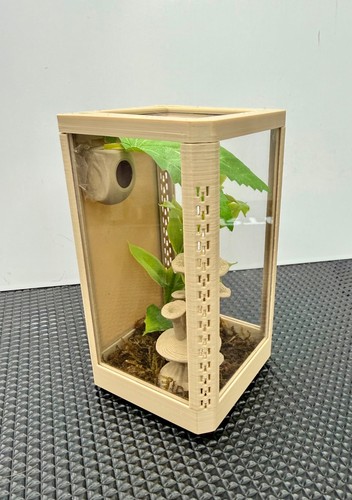 Jumping spider enclosure - jumping,