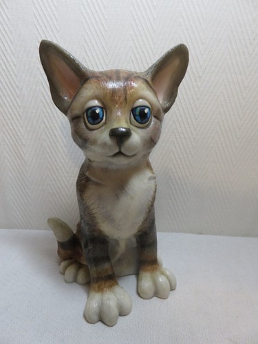 Pets with personality kitten