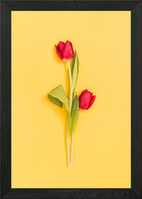 red tulip flowers Framed Wall Art Poster Canvas Print Picture