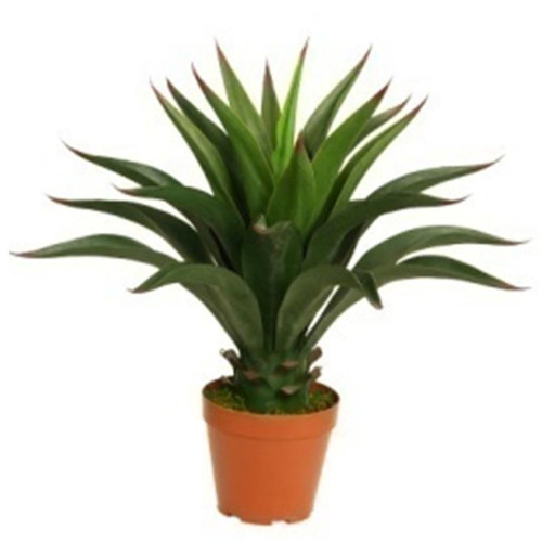60cm deluxe yukka artificial - deluxe,