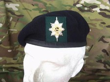 WORCESTERSHIRE & SHERWOOD FORESTERS VETERAN BERET & CAP BADGE- WFR  BRITISH ARMY