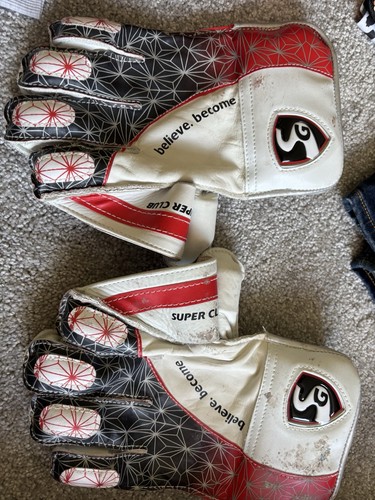 Cricket wicket keeping - cricket,