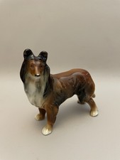 Beautiful Vintage Collie Dog