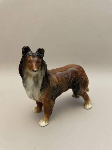 Beautiful vintage collie - vintage,