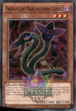 1st Ed Predaplant Darlingtonia Cobra MACR-EN010 Yugioh