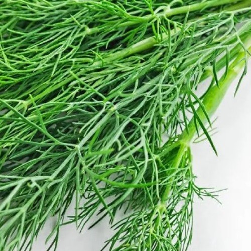 Organic dill plug - organic,