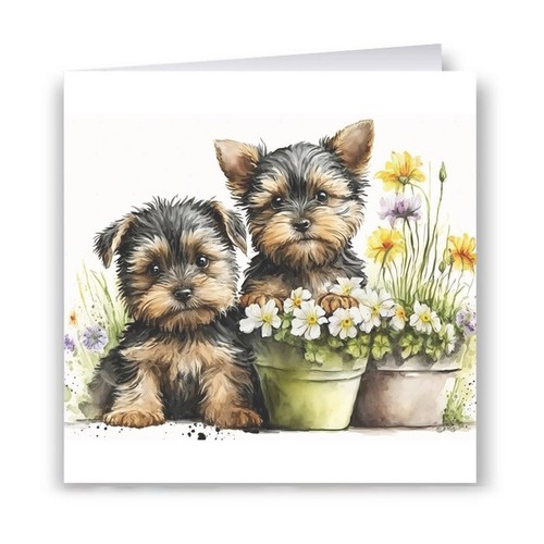 Yorkie greeting card - yorkie,