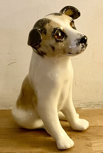 Superb winstanley jack russell - superb,
