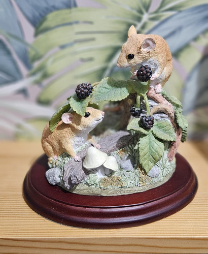 Border fine arts dormice - border,
