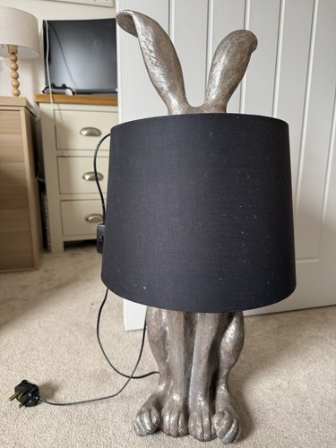 Hiding harriet rabbit - hiding,