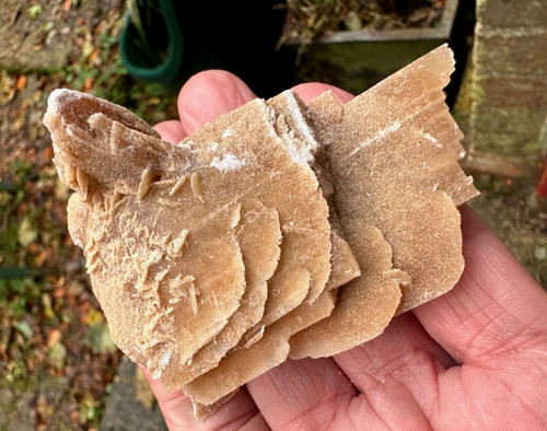 Desert rose selenite - rose,