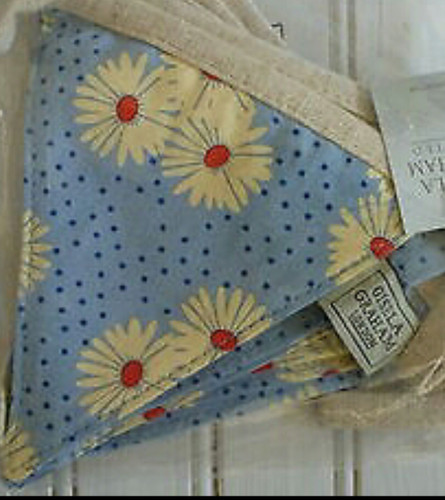 Gisela graham daisy - gisela,