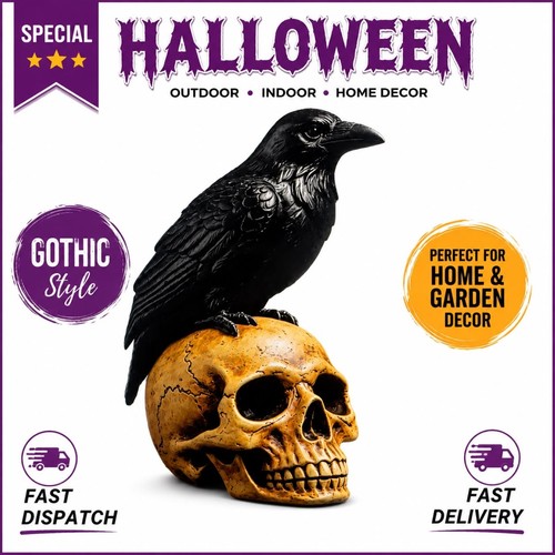 Black crow skull - skull, halloween