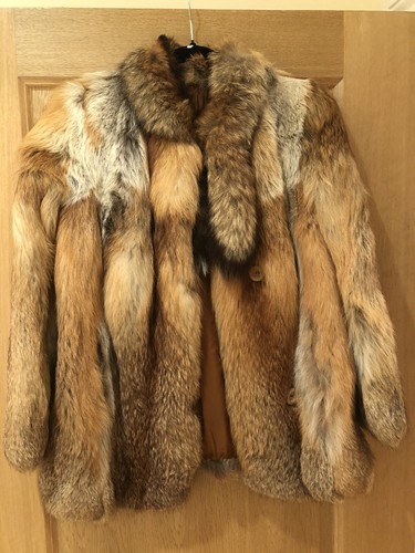 Amazing real red fox - , coat