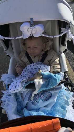 Babystyle prestige pram - prestige,