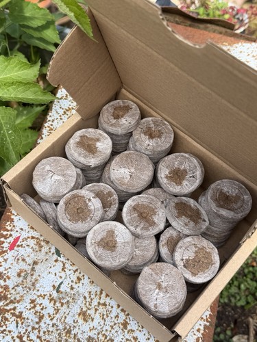 Box 100 jiffy - jiffy, peat