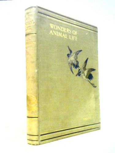 Wonders animal life first - wonders,