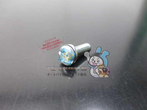 Ty250z carburetor screw - carburetor,