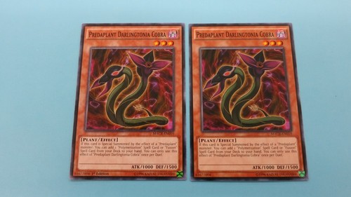 1st 1x unl predaplant - 1x,