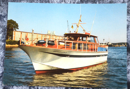 66015 postcard sea - postcard, eagle