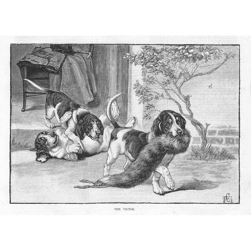Dogs the victor antique - dogs,