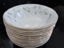 NEWCASTLE UPON TYNE BONE CHINA SET OF 11 x 16.5cm SOUP OR DESSERT BOWLS BLUEBELL