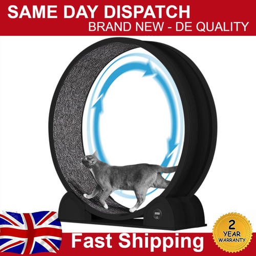 Cat exercise wheel - cat,