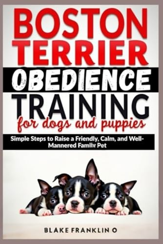 Boston terrier obedience - boston,