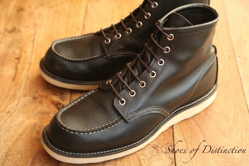 Redwing red wing - redwing,
