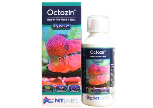 Labs octozin treatment - octozin,