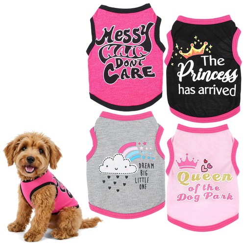 Pack chihuahua clothes cute - 4,